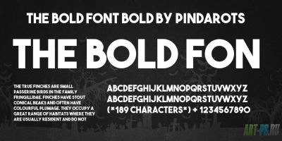 Шрифт The Bold Font