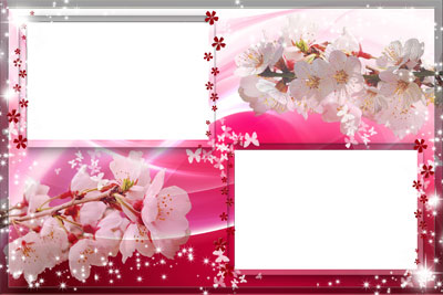 Рамка для фото - Цветущая сакура