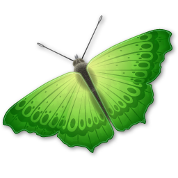 Красивая иконка зеленой бабочки